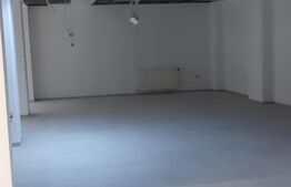 Spatiu comercial Premium, 236 mp, vitrina, vad stradal, zona Nordic