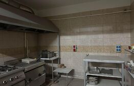 Spatiu comercial, 585 mp, zona Ramiro