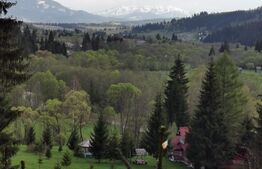 Ocazie unica! Cabana 180 mp utili, teren 32000 mp, Vatra Dornei