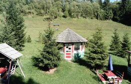 Ocazie unica! Cabana 180 mp utili, teren 32000 mp, Vatra Dornei