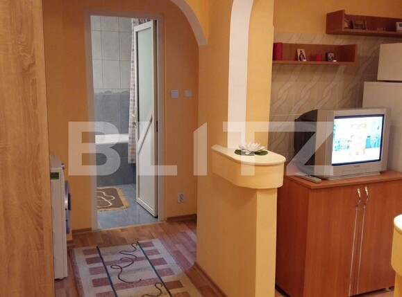 Garsonieră de închiriat Burdujeni - 101747AI | BLITZ Suceava | Poza5