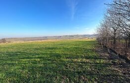 Oportunitate! Teren intravilan 13000 mp, cu casa veche, front 130 ml, utilitati, Lucacesti