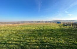 Oportunitate! Teren intravilan 13000 mp, cu casa veche, front 130 ml, utilitati, Lucacesti