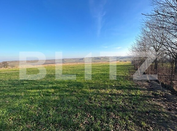 Teren de vânzare Sud Vest - 102351TV | BLITZ Suceava | Poza5