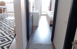 Apartament 2 camere, zona Sfantul Ilie