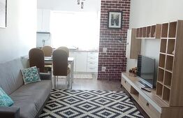 Apartament 2 camere, zona Sfantul Ilie