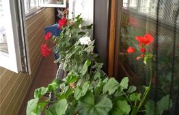 Oportunitate! Apartament 3 camere, 74 mp, zona George Enescu