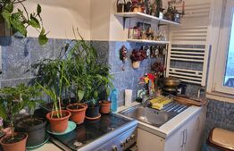 Apartament 2 camere, decomandat, 50 mp, zona Catedrala