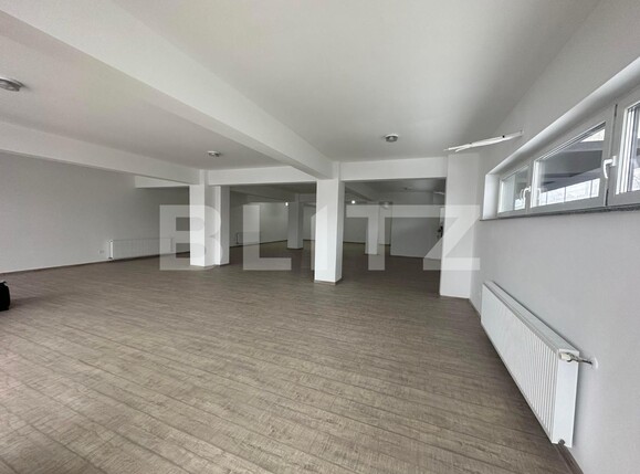 Spațiu comercial de închiriat Sfantu Ilie - 103086SIC | BLITZ Suceava | Poza1