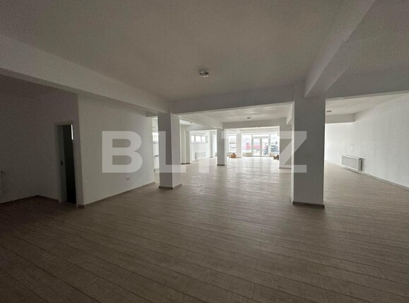 Spațiu comercial de închiriat Sfantu Ilie - 103086SIC | BLITZ Suceava | Poza2