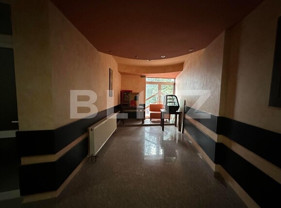 Spațiu comercial de închiriat Moara - 103288SIC | BLITZ Suceava | Poza8