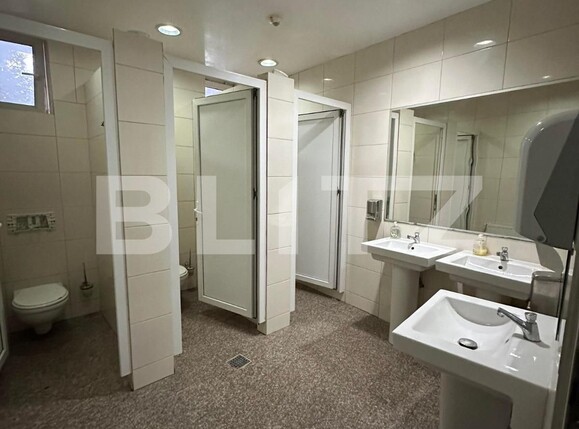 Spațiu comercial de închiriat Moara - 103288SIC | BLITZ Suceava | Poza11