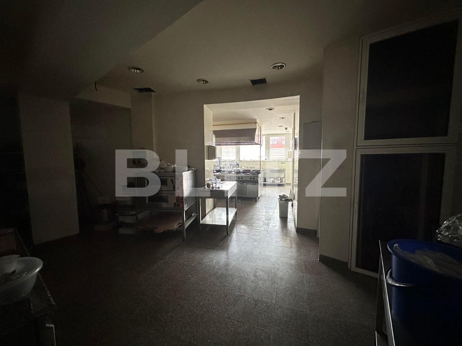 Spațiu comercial de închiriat Moara - 103288SIC | BLITZ Suceava | Poza7