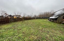 Casa demolabila, teren 1100 mp, front 20 ml, Todiresti