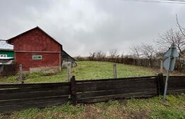 Casa demolabila, teren 1100 mp, front 20 ml, Todiresti