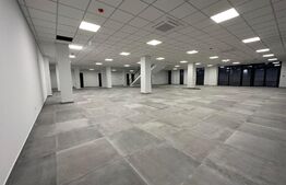 Spatiu comercial Premium, 500 mp, open space, zona Universitatii
