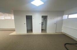 Oportunitate! Spatiu comercial cu potential, 183 mp, Radauti, zona Calarasi