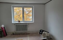 Apartament 2 camere, 46 mp, zona Centrala