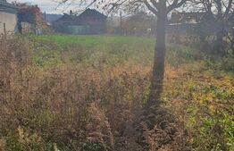 Casa 2 camere, 61 mp, Itcani