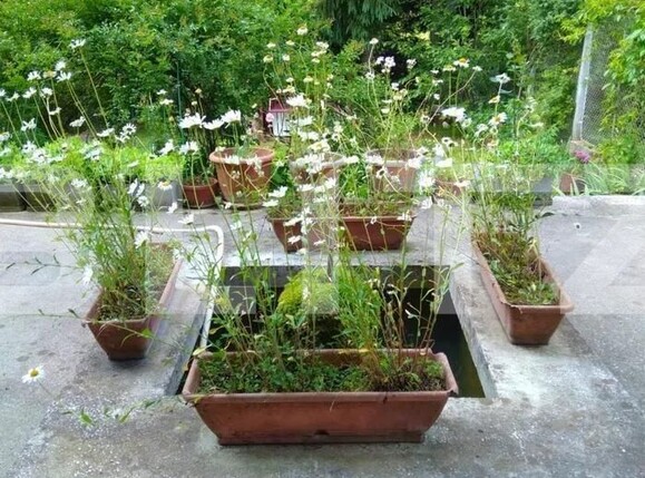 Casa de vânzare 7 camere Periferie - 105206CV | BLITZ Suceava | Poza2