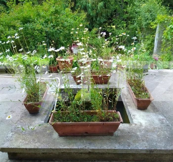 Casa de vânzare 7 camere Periferie - 105206CV | BLITZ Suceava | Poza2