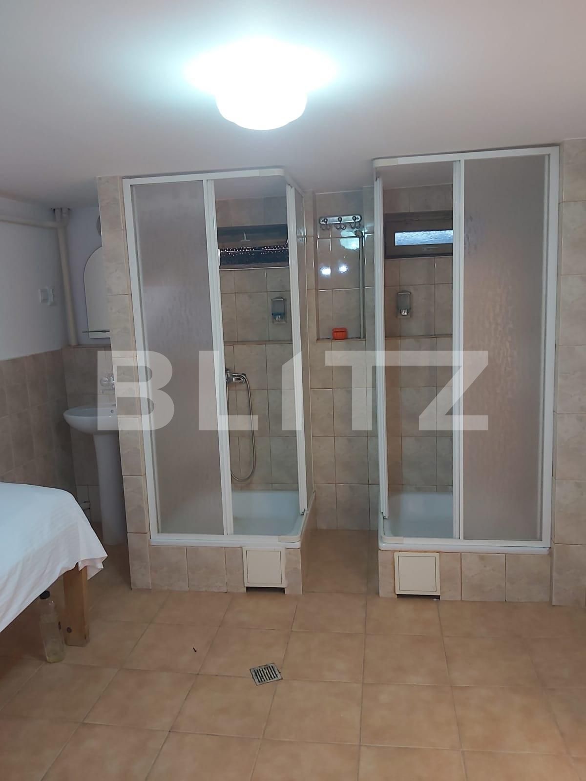 Spațiu comercial de închiriat Central - 105250SIC | BLITZ Suceava | Poza8