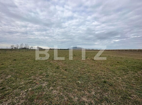 Casa de închiriat 1 camera Periferie - 105305CI | BLITZ Suceava | Poza3