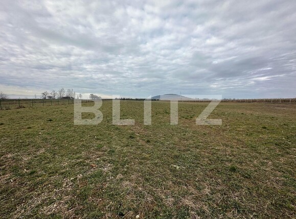 Casa de închiriat 1 camera Periferie - 105305CI | BLITZ Suceava | Poza2