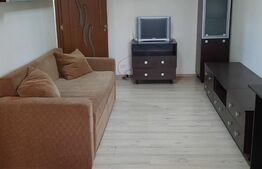 Garsoniera, 35 mp, Parter, zona Obcini