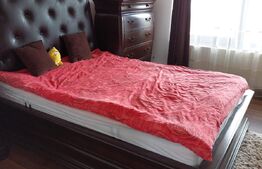 Oportunitate! Casă individuală cu garaj și teren cuprinzător, în zona Centrală