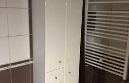 Apartament 3 camere, etaj intermediar, 2 bai, zona Obcini