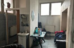 Service auto acces la E58 finisat, echipat complet, Scheia