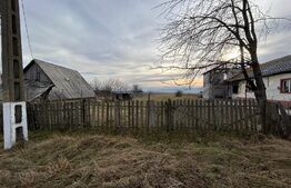 Casa demolabila/renovabila, 90 mp, teren 4400 mp, Berchisesti , judetul Suceava