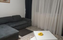 Apartament 2 camere, 48 mp, zona Centrala, Program 50/20