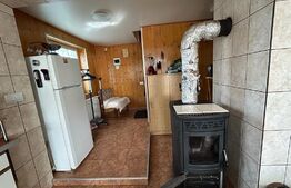 Casa individuala, 70 mp, dedicata pentru investitie, Lisaura 