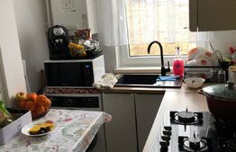 Microapartament cochet, 35 mp, etaj intermediar, zona Sf Ilie