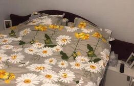 Microapartament cochet, 35 mp, etaj intermediar, zona Sf Ilie