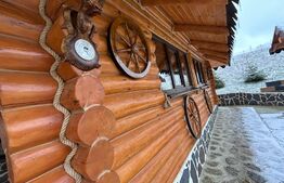 Foisor pentru evenimente, 90mp, teren 2800 mp, zona Paltinoasa 