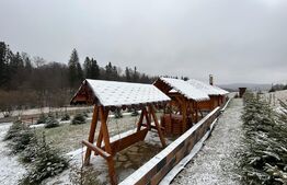 Foisor pentru evenimente, 90mp, teren 2800 mp, zona Paltinoasa 