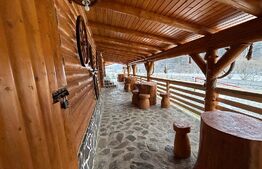 Foisor pentru evenimente, 90mp, teren 2800 mp, zona Paltinoasa 