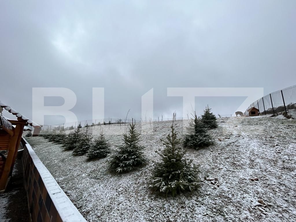 Casa de vânzare 1 camera Exterior Vest - 107066CV | BLITZ Suceava | Poza12