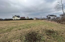 Teren intravilan 6000 mp, zona rezidentiala de case, Ipotesti!