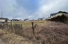 Teren intravilan 6000 mp, zona rezidentiala de case, Ipotesti!