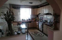 Casa individuala, 500mp, zona Obcini