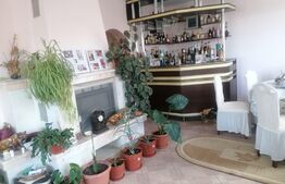 Casa individuala, 500mp, zona Obcini