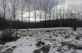 teren in zona de munte 