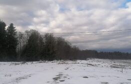 Teren intravilan pretabil pentru casa sau cabana