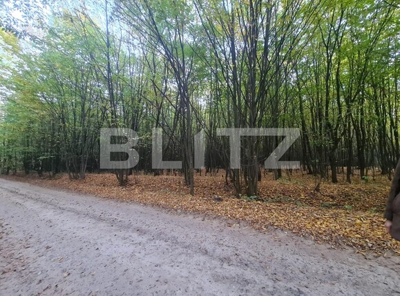 Teren de vânzare Nord - 108127TV | BLITZ Suceava | Poza1