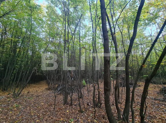 Teren de vânzare Nord - 108127TV | BLITZ Suceava | Poza2