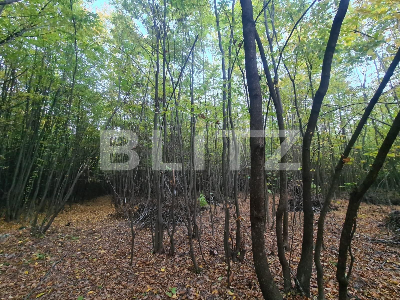 Teren de vânzare Nord - 108127TV | BLITZ Suceava | Poza2